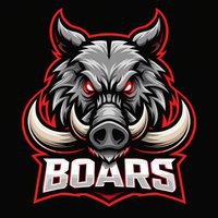  Washington Twp Wild Boars