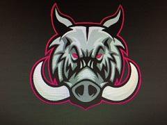  Washington Twp Wild Boars