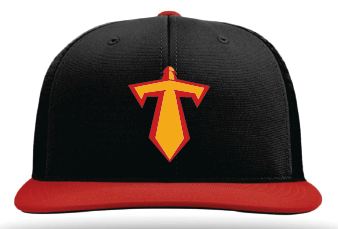 Titans Game Hat