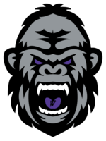  Waterbury Silverbacks