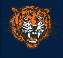  Lewisboro Tigers