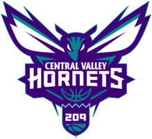  CV HORNETS