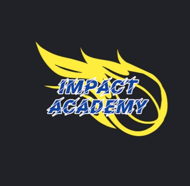 About the Impact Academy
