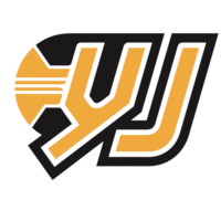 YELLOW JACKETS YELLOW JACKETS