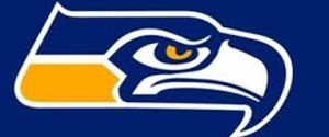  Johnsburg Hawks Feeder Basketball