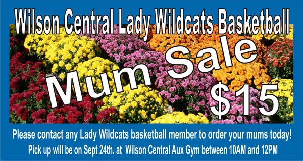 Wilson Central Lady Wildcats