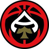 Raleigh Aces