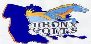  The Bronx Colts