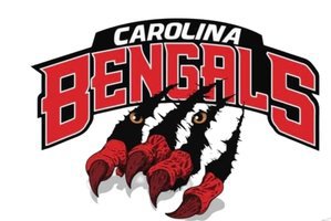  CAROLINA BENGALS