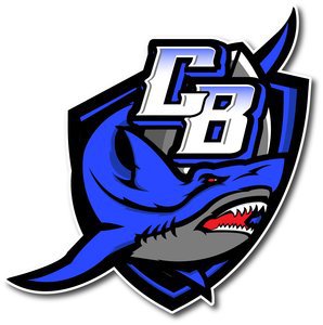  Chesapeake Bay Sharks 