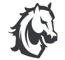  CAROLINA THUNDERING HERD