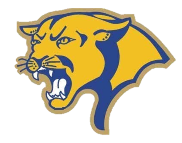 Downingtown East Ice Hockey Club – Go Cougars!