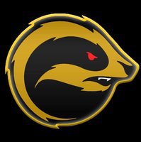  GOLDEN BADGERS