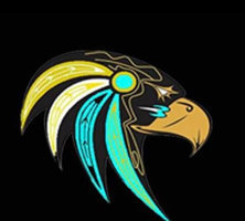  CT FALCONS