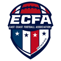  ECFA