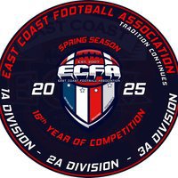  ECFA