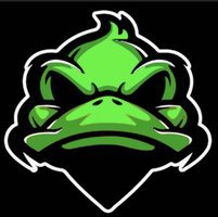  FAYETTEVILLE DUCKS