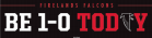  Firelands Falcons Football