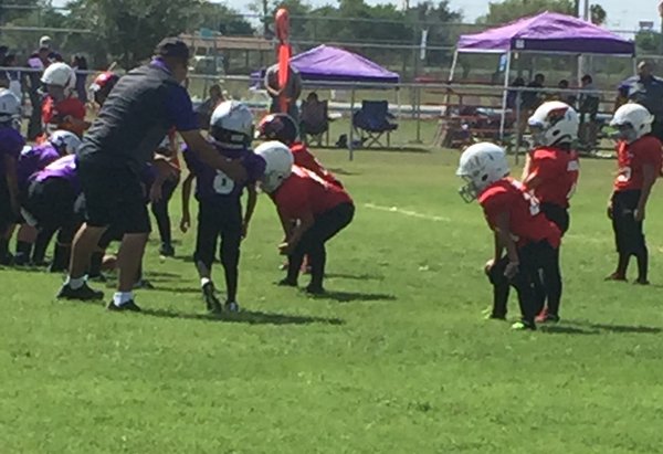 Cardinal Midgets