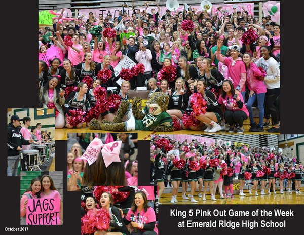 PINK OUT for Oct. 18th's Football Game hosted at WSHS