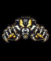  Metro West Golden Badgers