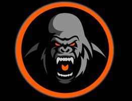  NEW LONDON COUNTY SILVERBACKS-S