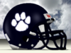  Pittsford Panthers Football