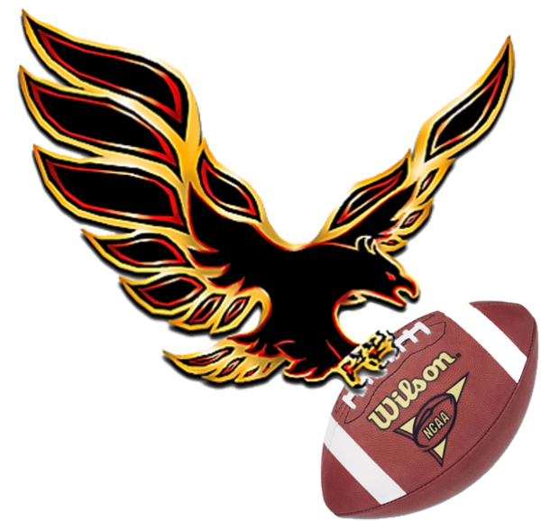 Qld Firebirds Logo