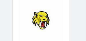  Sheboygan County SaberCats