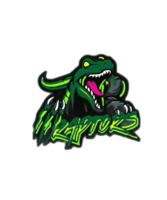  Midwest Raptors