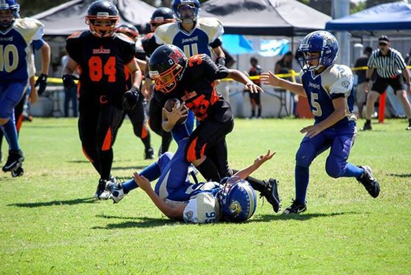 Bronx Steelers Youth Football & Cheer