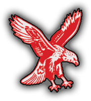  IB Hawks