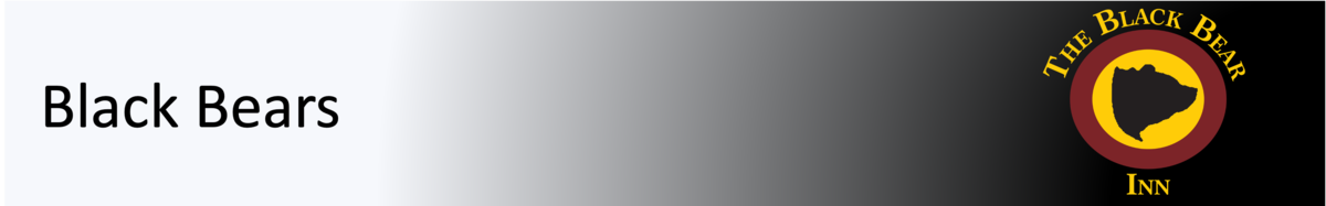  Black Bears