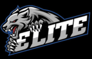 Central Massachusetts Elite Hockey Leagues