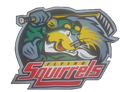  Flying Squirrels