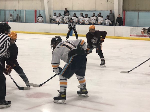 Leyden Eagles Hockey Club Home Page