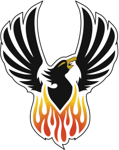 Phoenix hockey logo | Hockey logo, Hockey logos, Youth sports