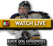 VachTVButton