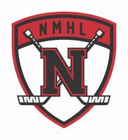 Newmarket Men's Hockey League