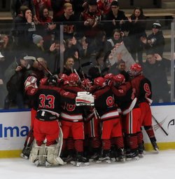 The Niagara-Wheatfield Falcons celebrate following