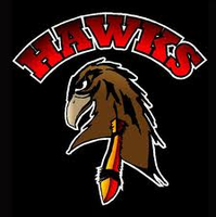  PV AAA U15 Female Hawks
