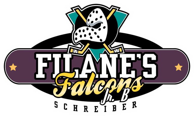 Falcons Hockey Association