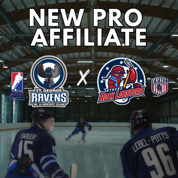 New Pro Affiliate!