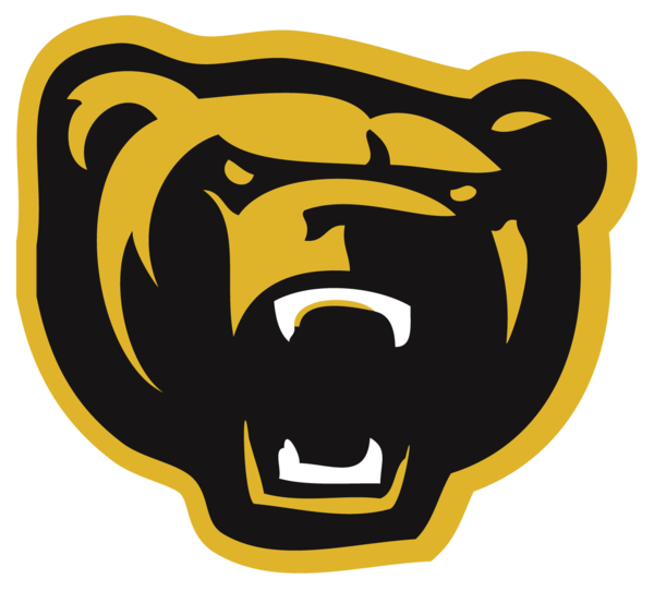 Strathcona Bruins Home Page