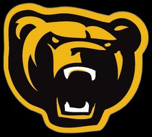 Capital Junior Hockey League Strathcona Bruins