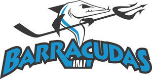  Barracudas