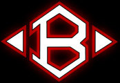  Clear Brook Volleyball
