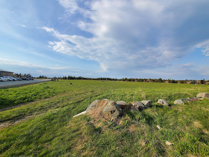 Flyers Field