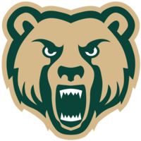 Vestal Golden Bears Modified