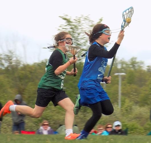 Quakertown Girls Youth Lacrosse Home Page